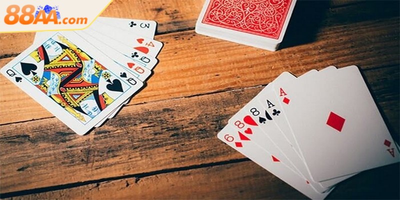 Người mới bắt đầu cần tích lũy thêm kiến thức về Phỏm